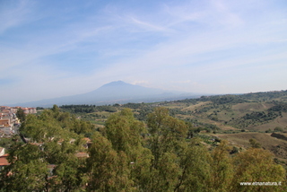 Sieli